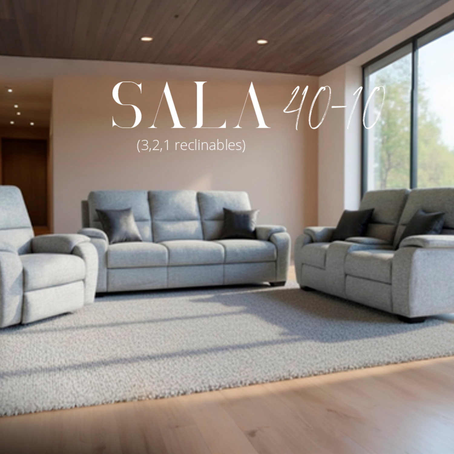 Sala 40-10 (3, 2, 1 Reclinables)
